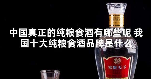 中国真正的纯粮食酒有哪些呢 我国十大纯粮食酒品牌是什么